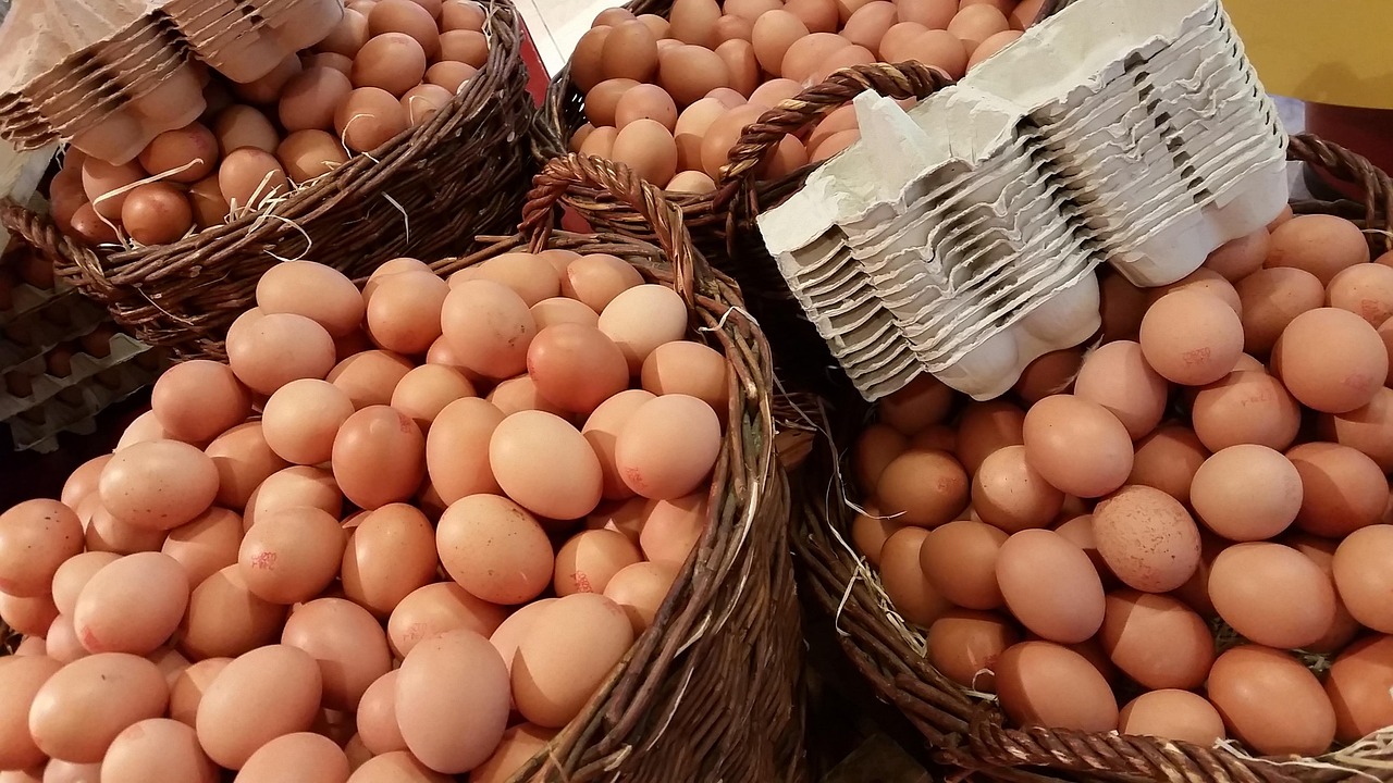 Fresh Eggs